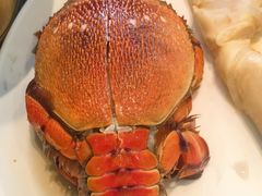 -初色海鲜自助(万丰路店)