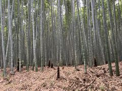 -同里国家湿地公园
