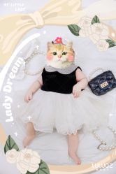-小阿福儿童摄影(华中智谷店)