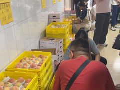 -老袁家蜜桃农场·阳山水蜜桃