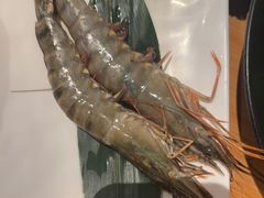 -手选潮汕鲜牛肉火锅(二七广场店)