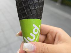 -Salud撒露欧洲冻酸奶(五道口购物中心店)
