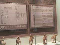 -隋唐大运河文化博物馆