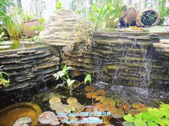 -北京植物园-展览温室