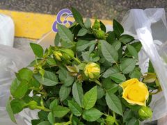 -恒达综合农贸市场(黄山路店)