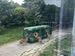 -深圳野生动物园