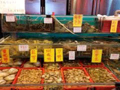 水产区-鲜入围煮花胶鸡海鲜火锅