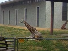 -石家庄市动物园