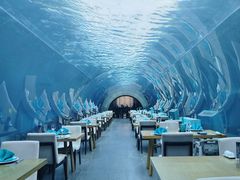 -涛·海底餐厅·美人鱼·自助餐·海底隧道(三亚海棠湾洲际度假酒店)