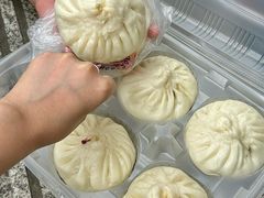 -和善园手工大包子(常德路店)