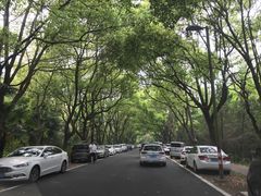 -崇明东平国家森林公园烧烤房车露营地