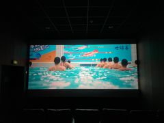 -汉阳天河电影城(王家湾店)