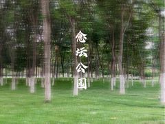 -大兴滨河森林公园