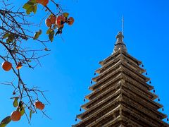 -北京石刻艺术博物馆(五塔寺)