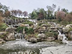 -秀丽东方