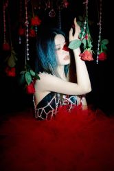 -WAVE SODA摄影工作室