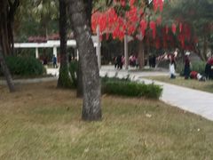 -人民公园(罗湖区)