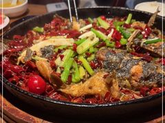 -老板恋上鱼(高新万达店)