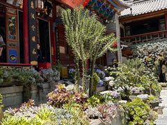 -寂照庵