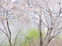 -西北湖绿化广场