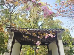-苏州上方山国家森林公园