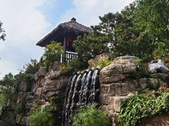 -东平国家森林公园