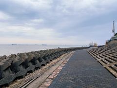 -上海滨江森林公园
