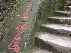 -大金鹰园