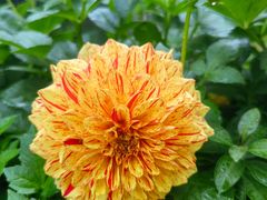 -国家植物园南园