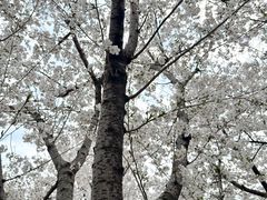 -龙美术馆西岸馆-停车场