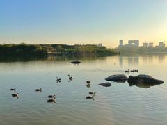 -海珠湖公园