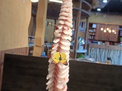 -土著渔匠·养生蝴蝶鱼(香樟路店)