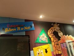 -信不信由你博物馆