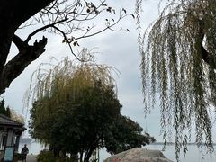 -湖滨客舍·湖北菜