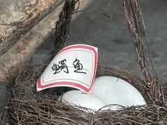 -深圳野生动物园