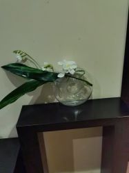 -Oasis Beauty水磨坊科技美肤中心