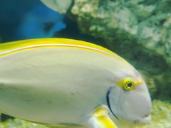 -福州罗源湾海洋世界旅游区