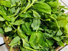 -小板凳(四公里店)