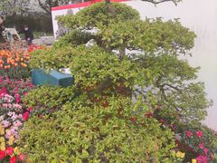 -南山植物园