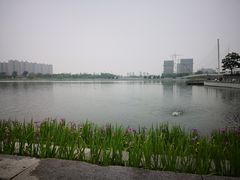 -映月湖中央公园
