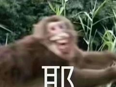 -名创优品(广西南宁江南区万达店)