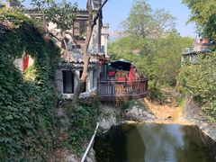 -老张烤羊(王哥庄店)