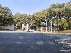 -棕榈岛海鲜自助餐厅(虹桥迎宾馆店)