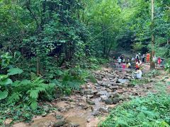 -火炉山森林公园