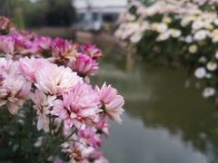 -上海市龙华烈士陵园