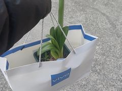 -瑞虹新天地月亮湾
