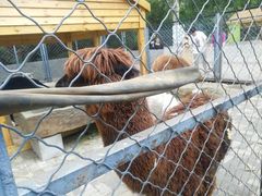 -长白岛森林公园