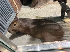 -大连圣亚海洋世界
