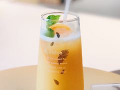 -飞行喵MR PILOT|猫舍·猫咖(静安大融城店)