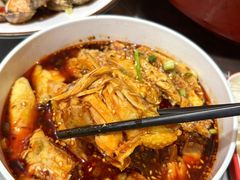 -肥家大排档(天河体育西店)